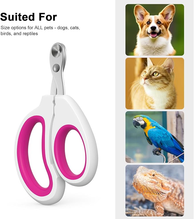 Aogeili Cat Nail Clippers - Stainless Steel, Non-Slip, Safe for Small Pets | Practical Pet Nail Clipper For Small Animals. Ergonomic Non-Slip Handle For Safe, Easy Trimming At Home For Kittens & Puppies