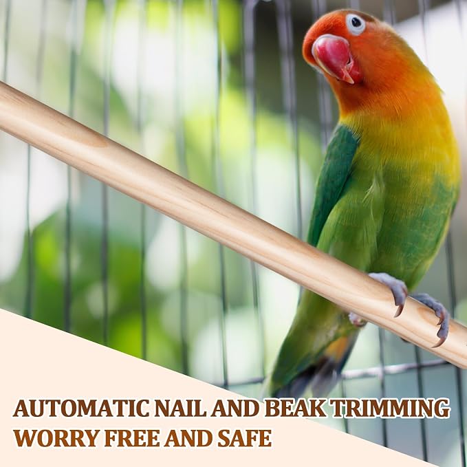 Sintuff 4 Pcs Bird Perches for Cage Accessories, Wooden Perch Rods Replacement with Double Head Slots, 0.6 Inch Diameter Natural Wood Stand for Parrot Macaw Cockatoo Parakeet (24 Inches)