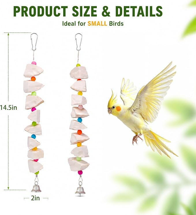 2 Pack Bird Toys with Cuttlebone & Beak Grinding Stone–Cage Accessories for Parakeets, Budgies, Cockatiels, Lovebirds, Green Cheeks & Small to Medium Birds