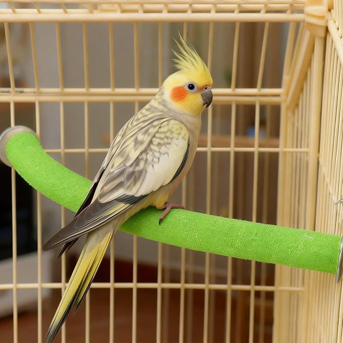 Rypet 90-Degree Parrot Perch for Cage Corner, Quartz Bird Perch (Green L) | For Paw Grinding Clean Stick Exercise, Rough Quartz Surface, Small Parakeets Cockatiel Conures
