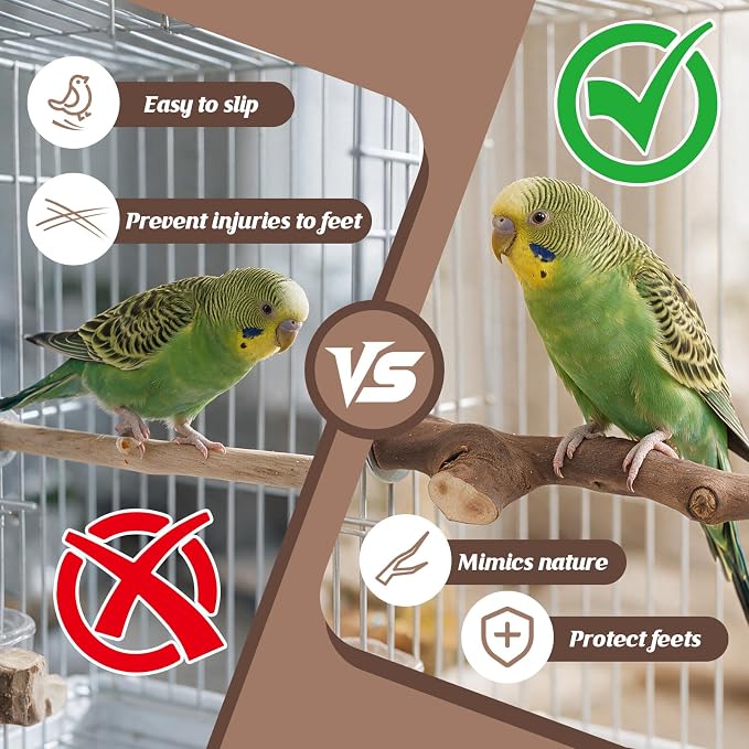 5PCS Bird Perch Stand Natural Wooden Parrot Stand Branch,3 Grape Wood Perch,2 Stand,Paw Grinding Fork Parakeet Chewing Stick Exercise Training Branches for Cockatiels,Small Medium Birds
