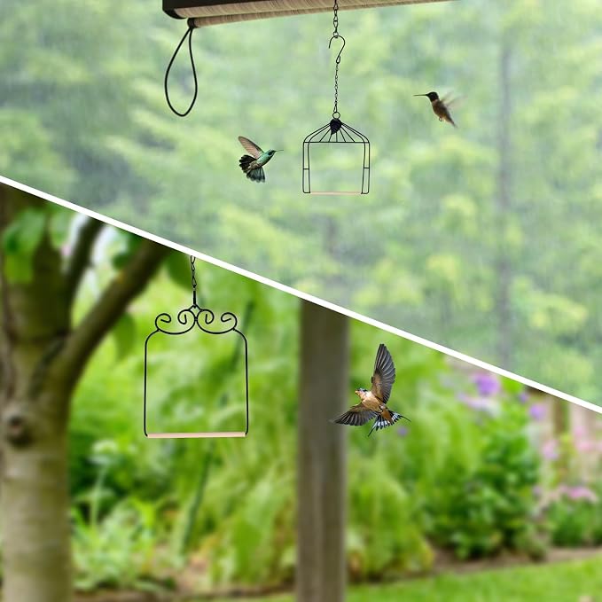Metal Frame Hummingbird Swings and Perches with Wooden Dowel Black Bird Swing Outdoor Bird Perch Humming Bird Swing (2PK Different)