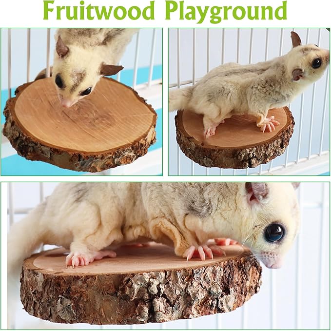 BNOSDM 6 Packs Wood Sugar Glider Toys Wooden Sugar Glider Perch Stand Climbing Platform Hanging Cage Steps Rat Cage Accessories for Hamster Squirrel