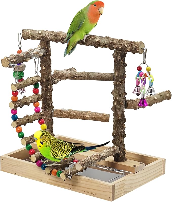 BNOSDM Natural Wood Bird Playground for Training & Playing, Parrot Perch Stand Jungle Gym with Hanging Bridge & Detachable Tray Parakeet Cage Playstand for Budgie, Cockatiel, African Grey