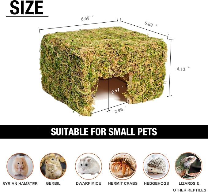 Hamster Hideout - Large, Natural Moss, Handcrafted for Syrian Hamsters, Rats & Guinea Pigs, Hermit Crab,Hedgehogs,Lizards & Other Reptiles（Square, Large）