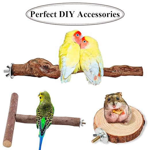Bird Perch Screws Bird Cage Hardware 10 Sets & Drill Tool for Fixing Perch | Bird cage accessories for fixing perch, bird playground, food bowls feeder breeding box