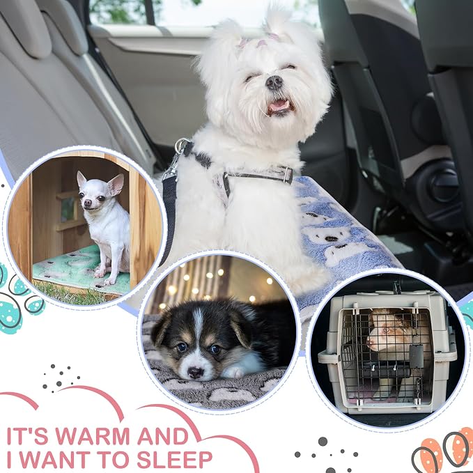 Reginary 4 Pcs Guinea Pig Fleece Blankets, Bear Pattern, 24 x 16 Inch | Waterproof Washable Cage Liners, Absorbent Double Layer Bedding for Guinea Pigs, Reusable Pads for Hamsters Rabbits