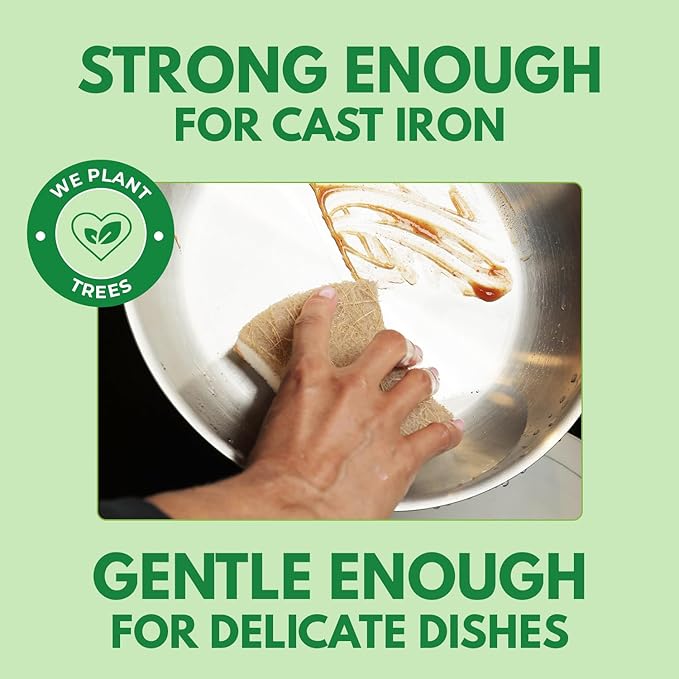 Biodegradable Natural Dish Sponges - Coconut and Cellulose - Eco Friendly Non-Scratch Heavy Duty Dish Scrubber - Pack of 12