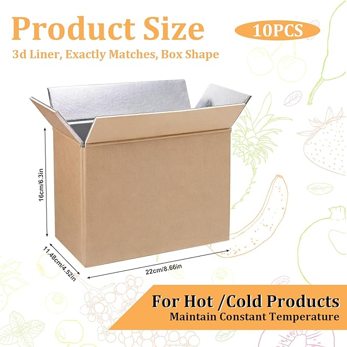 10 Pcs Insulated Shipping Boxes, 8.7" x 4.5" x 6.3" Cold Chill Double Insulated Carton with Aluminum Foil Liner for Frozen and Hot Food Reusable Foam Mailing Box for Travel Mailing Packing