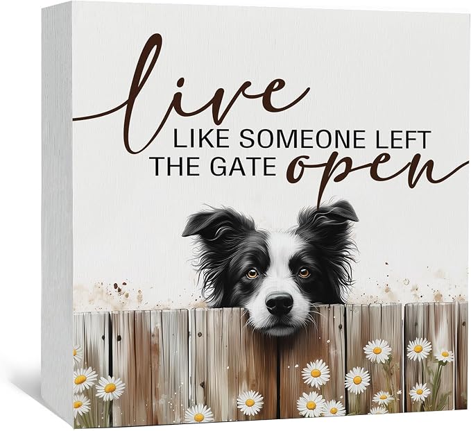 Border Collie Signs - Farm Cottagecore Animal Office Kitchen Bedroom Decor,Rustic Farmhouse Live like Someone Left the Gate Open Home Decor Wooden Signs,Border Collie Gifts for Women,8x8