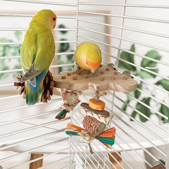 2 Pack Parrot Toys, Parrot Wooden Toys Long Tailed Bird Toys with Pure Natural Corn Sticks and Pure Natural Pine Cones, Fun Bird Cage Accessories (Platform & Platform)