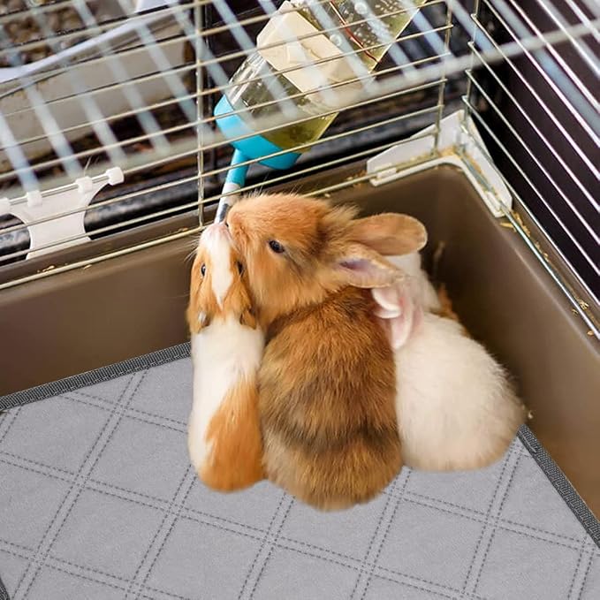 6 Pack Guinea Pig Cage Liners Washable Pee Pads Training Pads, Reusable Pee Pads Non Slip Absorbent Mat for Small Animals, Cats, Rat, Dogs, Bunny(12" x 12")