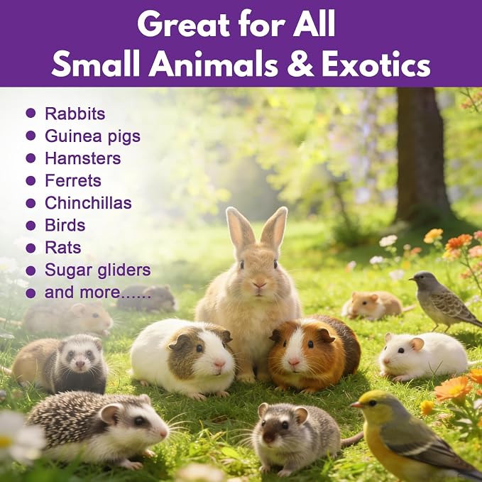 Topical Solution for Rabbits, Guinea Pigs & Exotics, Relieves Ear & Skin Infections, Scratching & Wounds, for Hamsters, Ferrets & Birds, Antibiotic-Free & Safe if Licked, 4 oz