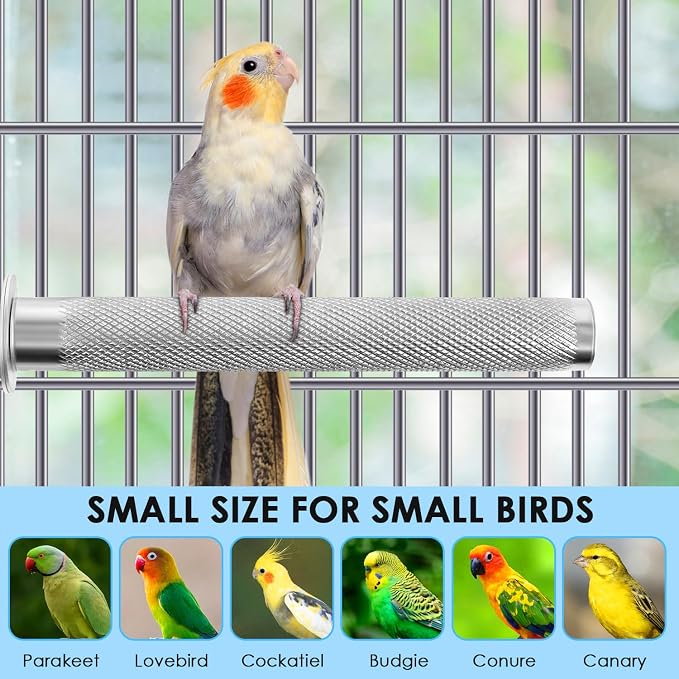 KATUMO Parrot Perch - Stainless Steel African Grey Perch Bird Cage Accessories for Small to Large Parrots (11.8 x 1.2 inch)