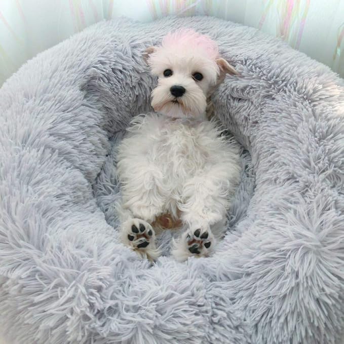 Dog Bed for Small Dogs & Cats, 24 Inch Medium Fluffy Washable Donut Bed | Plush Puppy Bed and Cat Bed for Pets up to 25 lb, High-Loft Polyester Fill with Water-Resistant Non-Skid Base for Indoor Use
