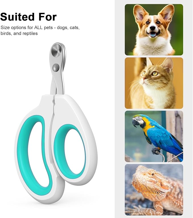 Aogeili Cat Nail Clippers - Stainless Steel, Non-Slip, Safe for Small Pets | Practical Pet Nail Clipper For Small Animals. Ergonomic Non-Slip Handle For Safe, Easy Trimming At Home For Kittens & Puppies