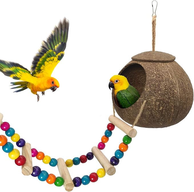 Hanging Coconut Birds House with Ladder, Natural Coconut Bird Nest | Coconut Hide Birds Swing Toys for Parrot Parakeet Lovebird Finch Canary for Hamster, Bird Cage Accessories, Pet Bird Supply