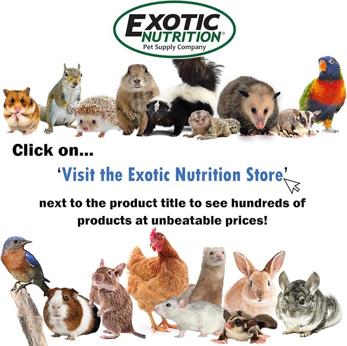 Doors & Drawers - Durable Interactive Treat Forage Box Cage Accessory Toy - for Sugar Gliders, Rats, Chinchillas, Ferrets, Parrots, Hamsters, Squirrels, Hedgehogs, Guinea Pigs & Other Small Pets