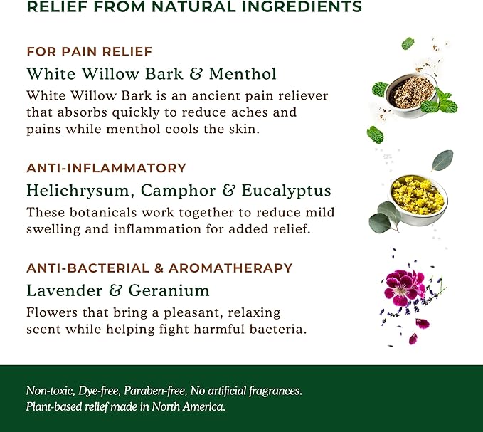 Nature's Willow Willow Balm Natural Pain Relief Cream for Muscles & Joints | Fast-Acting with Willow Bark & Menthol | Free from Artificial Fragrances & Dyes | 3-Pack | 3.5 fl oz