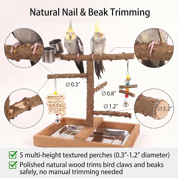 Natural Wood Bird Playground Stand,Bird Perch，Cockatiel Playground | Natural wooden bird stand, playground for small medium birds, feed cups, chew toys and practical removable tray
