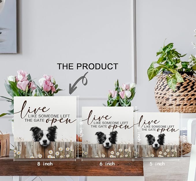 Border Collie Signs - Farm Cottagecore Animal Office Kitchen Bedroom Decor,Rustic Farmhouse Live like Someone Left the Gate Open Home Decor Wooden Signs,Border Collie Gifts for Women,8x8
