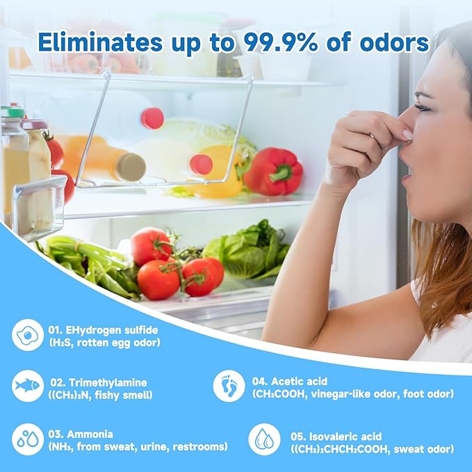 Refrigerator Deodorizer, Natural Plant Fridge Deodorizer Long-Lasting Odor Eliminator for Refrigerator, Air Freshener for Kitchen, Shoe Cabinet, Pet Areas