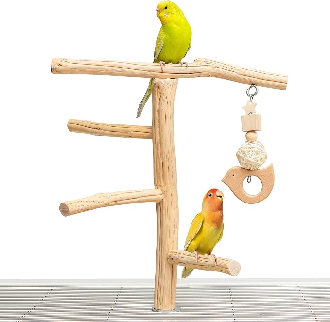Natural Wooden Bird Perch Stand with Hanging Toy, Bark-Free Solid Wood Parrot Perch for Budgies, Parakeets, Cockatiels and Lovebirds, Inside or Cage Top Bird Playground