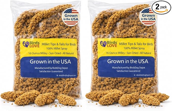Birds LOVE® 1lb Millet Tips & Tails for Birds – Premium Spray Millet Treat, USA Grown – Natural & Healthy Bird Food for Parakeets, Cockatiels, Budgies, Lovebirds, Finches, Canaries & Parrots – 2 Pack