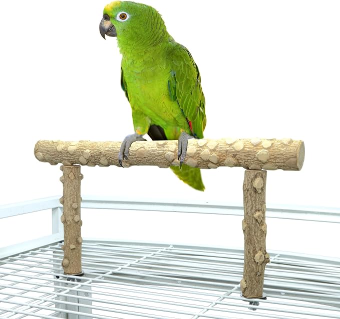 Bird Perch Stand,Natural Wood Cage Gym Toy Branch for Small Large Parrot | 100% Natural pepper wood, no chemical odor, non-slip grip, fits parakeets cockatiels conures African greys, easy install