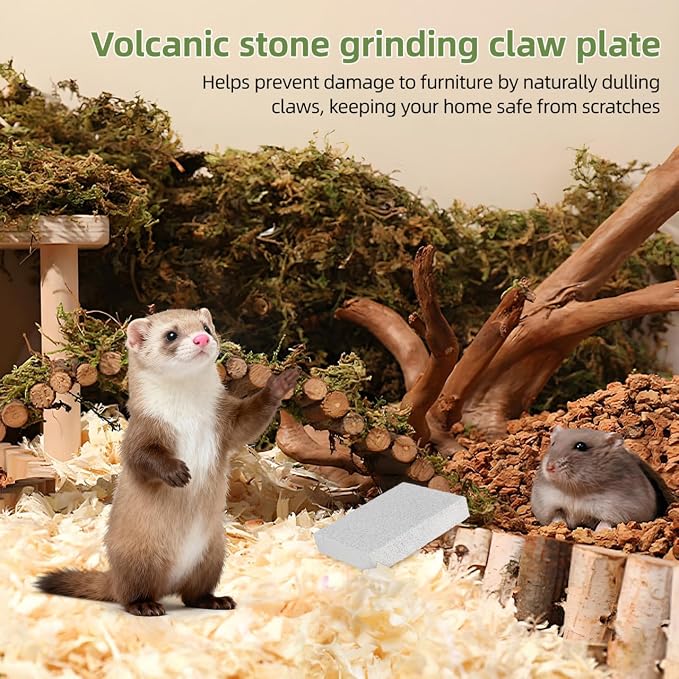 Toddmomy Rabbit Scratching Pad: Natural Lava Pumice Stone Claw & Teeth Grinding Pad for Hamster Guinea Pig Gerbil Small Pet Cage Accessories