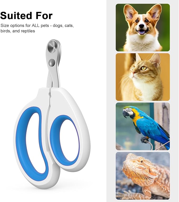 Aogeili Cat Nail Clippers - Stainless Steel, Non-Slip, Safe for Small Pets | Practical Pet Nail Clipper For Small Animals. Ergonomic Non-Slip Handle For Safe, Easy Trimming At Home For Kittens & Puppies