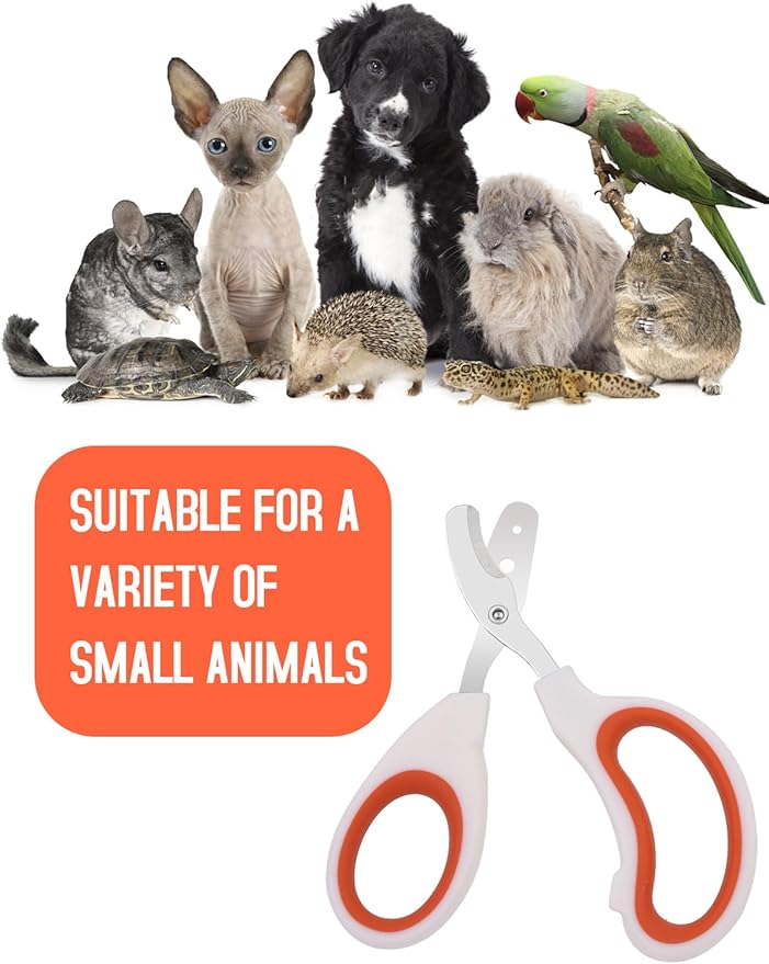 Stainless Steel Bearded Dragon Nail Clippers,Lizard Nail Clippers,Bearded Dragon Supplies,Bearded Dragon Nail Scissors for Small Reptiles,Turtle,Chameleon,Iguana，Hedgehog（Orange）
