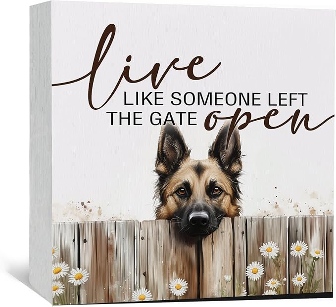 Belgian Malinois Signs - Farm Cottagecore Animal Office Kitchen Bedroom Decor,Rustic Farmhouse Live like Someone Left the Gate Open Home Decor Signs,Belgian Malinois Gifts for Women,6x6