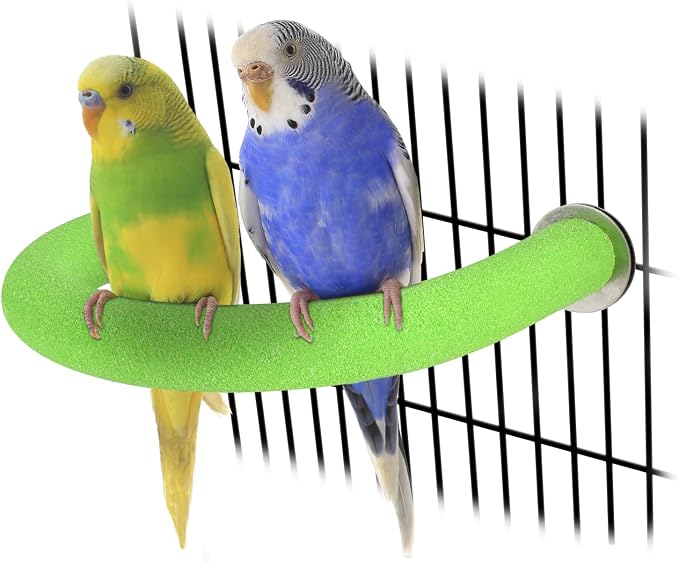 Rypet U-Shaped Parrot Perch, Quartz Bird Perch for Cage(Green S) | Safe Chew & Rest Perch for Large Birds, Durable Non-Toxic Cage Accessory, for Parakeets Cockatiels Conures Macaws