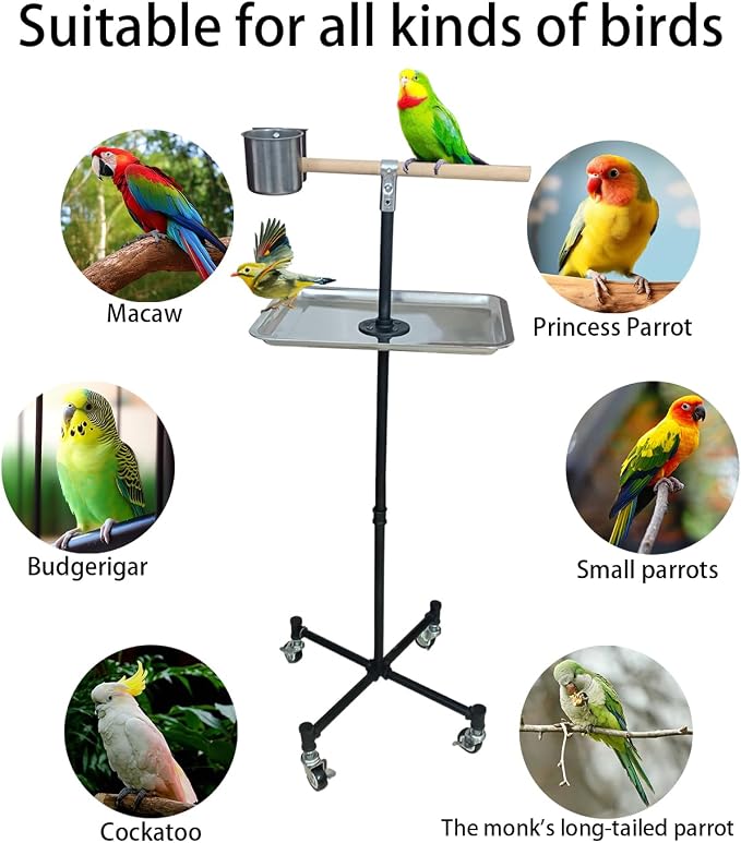 Bird Stand Parrot Stand 2 Stainless Steel Food Bowls | Stainless Steel Tray Including Macaws, Parakeets, Lovebirds, Cockatiels, For Indoor And Outdoor Use Black 42