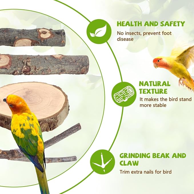 12 Pcs Natural Wood Bird Perch Stand & Platform Set for Cages | Ideal for Small/Medium Birds (Budgies, Conures) | Bark Textures for Foot Health | Tool-Free Wing-Nut | Safe Chewing