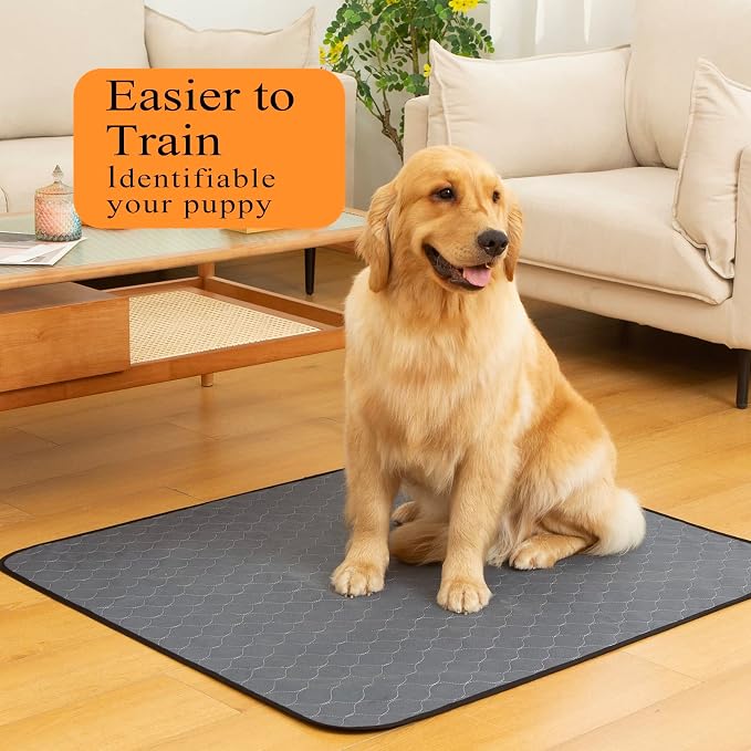 Bunlitent Reusable Pee Pads for Dogs, 5 Pack, 30"x34", Reusable Puppy Pads | Grey, Reusable, Fast Absorbent, Waterproof, Non-Slip, For Whelping, Training, Incontinence, For Dog Playpen, Crate, Car