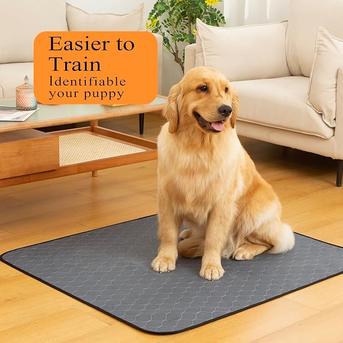 Bunlitent Washable Pee Pads for Dogs 36"x72", 3 Pack, Super Absorbent, Grey | Reusable, Quick Dry, Anti-Slip, Waterproof, Reusable Puppy Pads, Whelping Pads, For Training, Playpen, Incontinence, Large