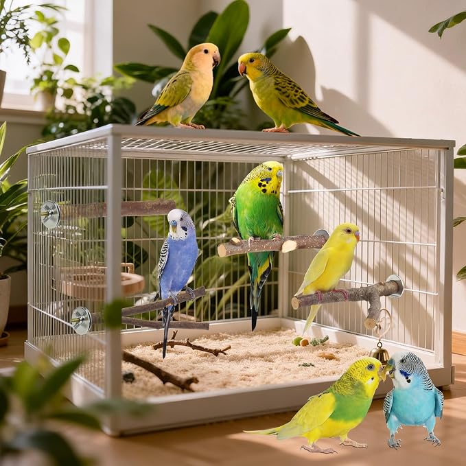 6 Pack Natural Wood Bird Perches for Cage, Wooden Parrot Perch | Wood Bird Stand Toy, Hardwood Branches, Climbing & Chew Toy for Bird Cage Accessories, Ideal for Parakeets Budgies Cockatiels