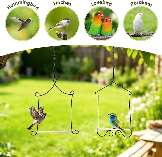 Metal Frame Hummingbird Swings and Perches with Wooden Dowel Black Bird Swing Outdoor Bird Perch Humming Bird Swing (4PK)