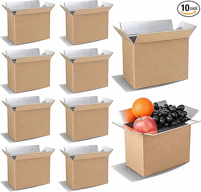 10 Pcs Insulated Shipping Boxes, 8.7" x 4.5" x 6.3" Cold Chill Double Insulated Carton with Aluminum Foil Liner for Frozen and Hot Food Reusable Foam Mailing Box for Travel Mailing Packing