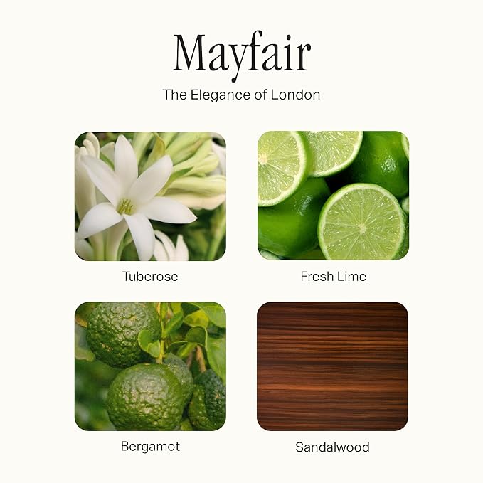 Preston Lane Luxury Kitchen Set – Hand Wash, Dish Soap & All-Purpose Cleaner | Plant-Powered Cleaning Essentials Bundle with Fine Italian Fragrance, Mayfair Scent