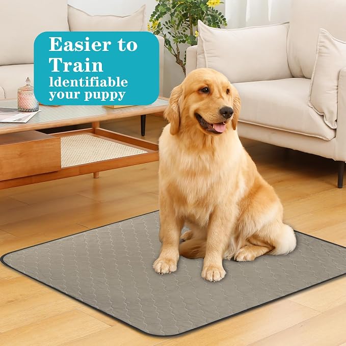 Bunlitent Washable Pee Pads for Dogs 24" x 36", 5 Pack, Brown | Reusable, Quick Dry, Anti-Slip, Waterproof, Reusable Puppy Pads, Whelping Pads, For Training, Playpen, Incontinence