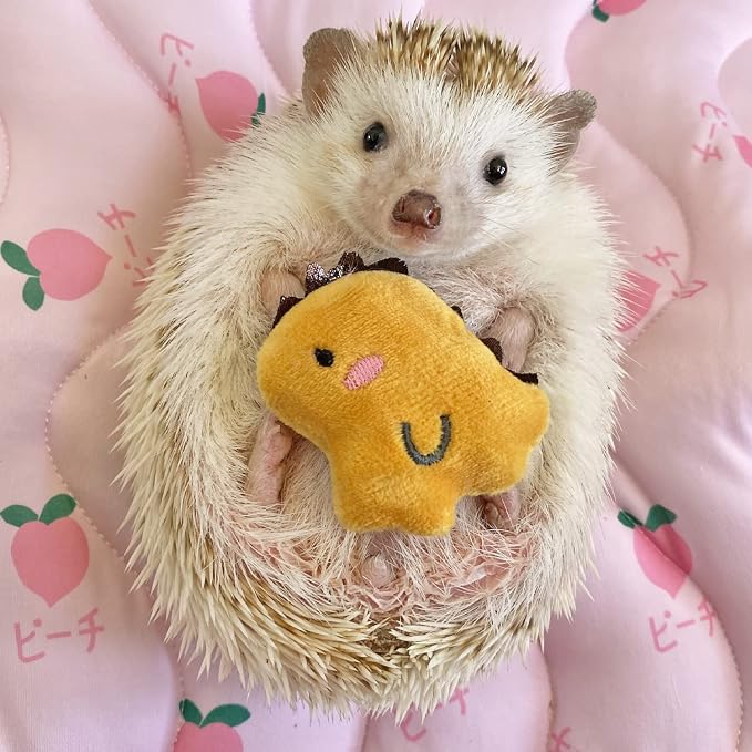 3 Pcs Cute Small Animal Accessories Toys Dinosaur for Hedgehog Supplies Guinea Pig Hamsters Small Pet Toy Gift Photo Shoot Cage Accessory