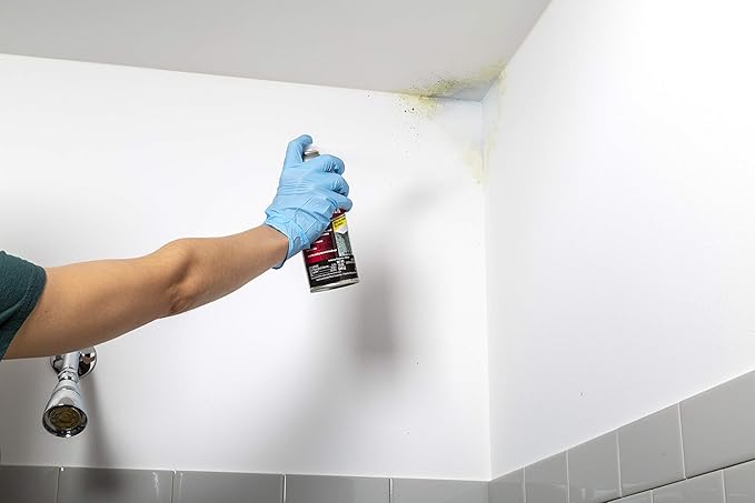 Rust-Oleum Zinsser 287512 Molding Blocking Spray Primer, 13 oz, White
