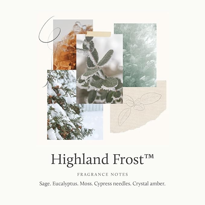 Thymes Foaming Hand Wash with Aloe & Glycerin - Foaming Hand Soap with Pump - Kitchen or Bathroom Decor - Holiday Soap with Notes of Sage, Eucalyptus & Cypress Needles (Highland Frost, 10.3 fl oz)