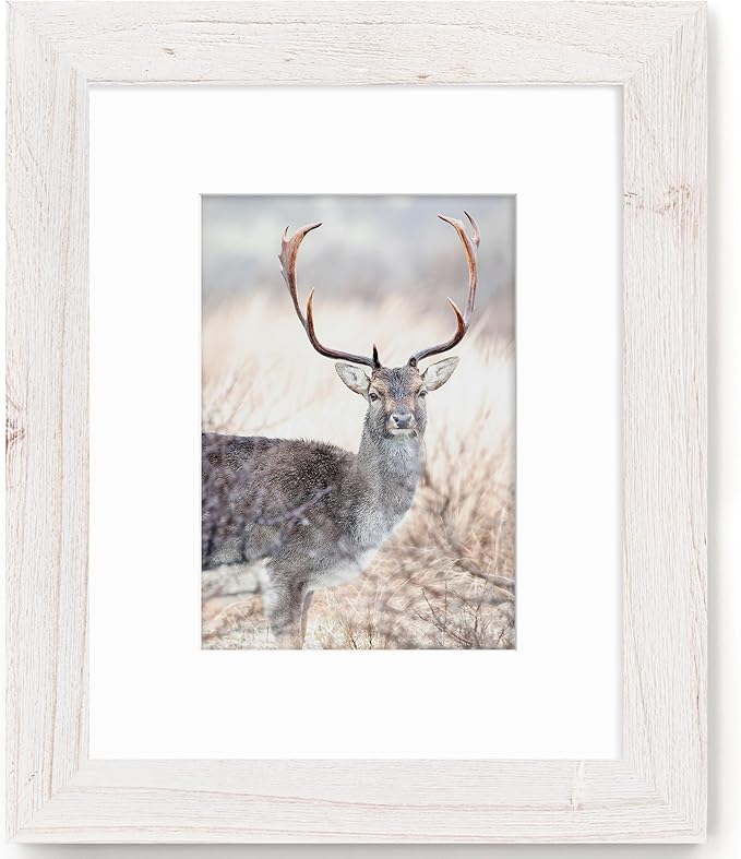 Fun Memories Picture Frame 8x10 - Real Tempered Glass, Solid Wood Photo Frame, Display 5x7 With Mat or Without Mat, Rustic Frame for Wall or Tabletop, White, 1 Pack