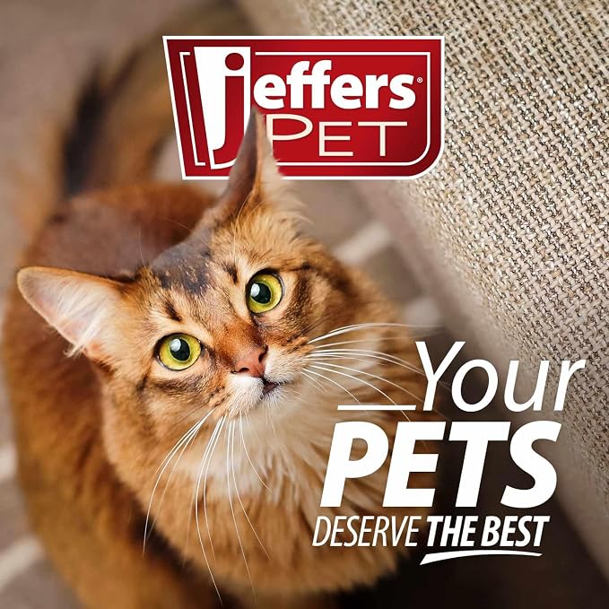 Jeffers Stainless Steel Cat Claw Clippers Scissors - Small Pet Nail Trimmer with Sharp Precision Blades, PVC Non Slip Ergonomic Handle, Compact Home Grooming Cutter for Cats, Kittens, Birds