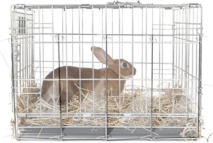 20Pcs Clear Cage Edge Liner Guinea Pig Cages, Size:14" x 4.5" | with Holes Zip Ties Urine Guard Side Ferret Cage Accessories for Rabbit Pet Hamster Rat and Other Small Animal