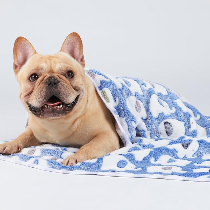1 Pack 3 Blankets Super Soft Fluffy Premium Cute Elephant Pattern Pet Blanket Flannel Throw for Dog Puppy Cat Blue Medium(30x20 inch) | Fuzzy Flannel Small Pet Blanket Washable, Cute Elephant Print for Crate Car Bed. Puppy Essential,Cat Stuff Gifts,Medium
